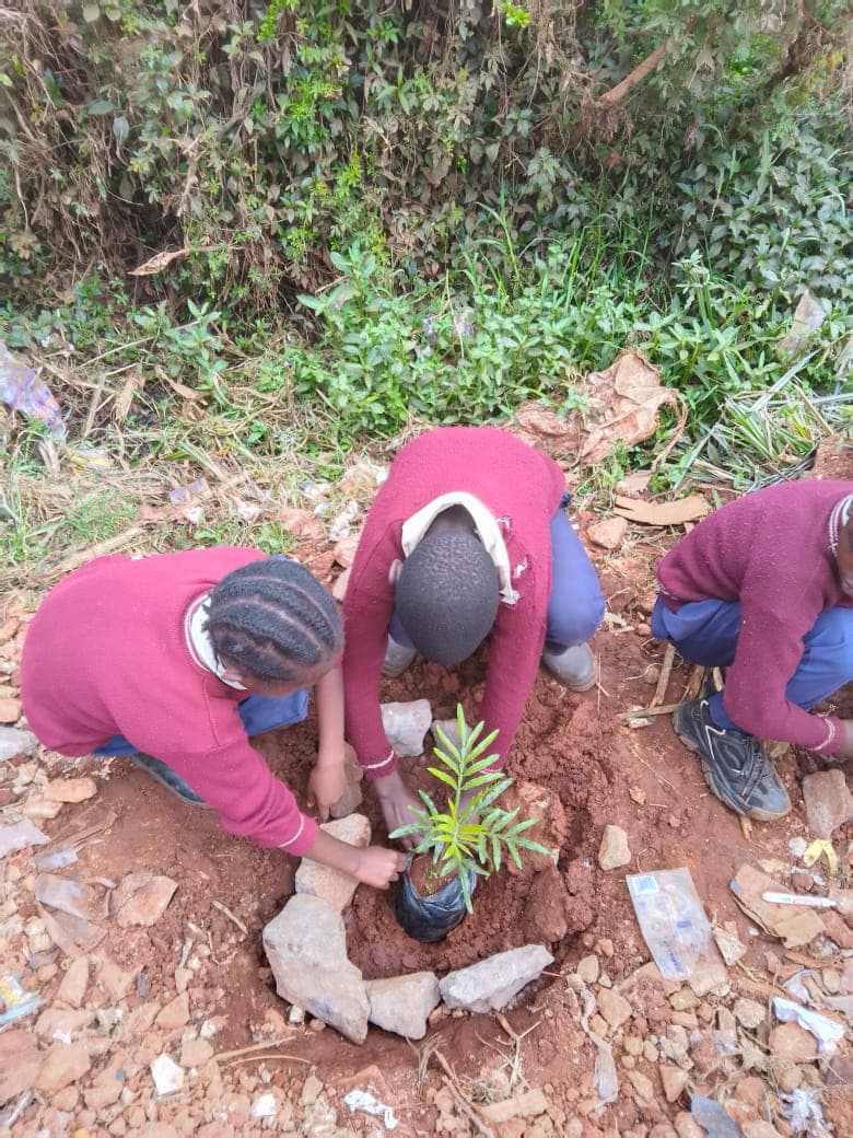 Children planting trees