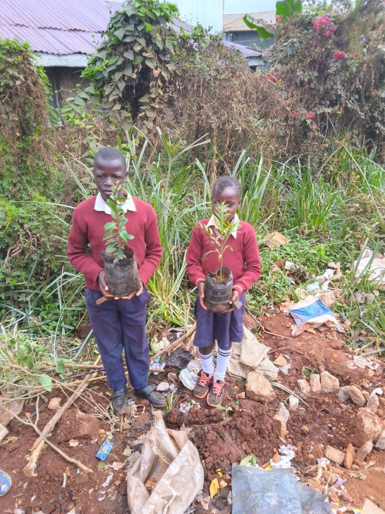 Tree planting initiative